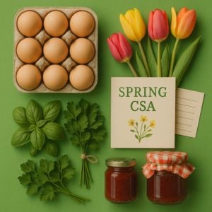 Spring CSA box contents